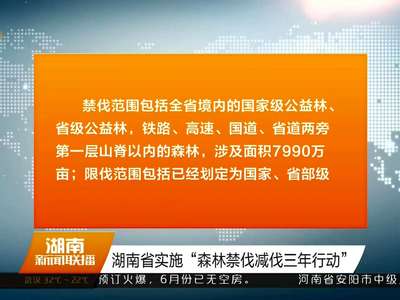 湖南省实施“森林禁伐减伐三年行动”