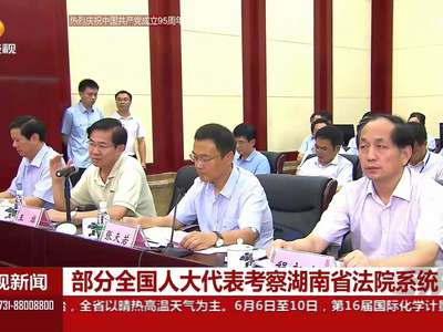 部分全国人大代表考察湖南省法院系统