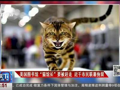 [视频]美国图书馆“猫馆长”要被赶走 近千市民联署挽留