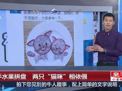 [视频]巧手水果拼盘 两只“猫咪”相依偎