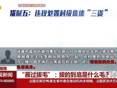 “雁过拔毛”：拔的到底是什么毛？