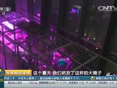 [视频]高科技“环境配方”打造家庭“傻瓜农场”
