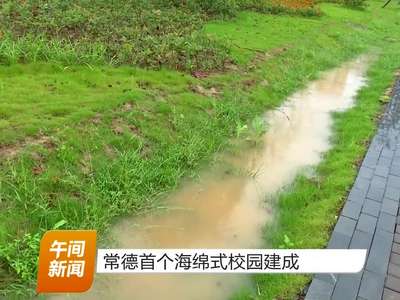 常德首个海绵式校园建成