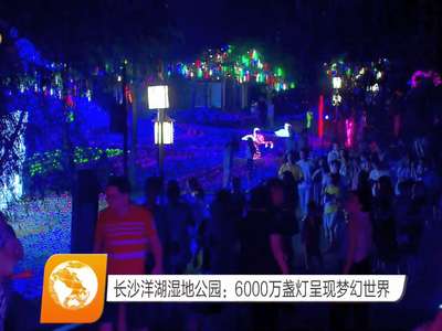 长沙洋湖湿地公园：6000万盏灯呈现梦幻世界