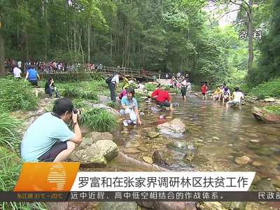 罗富和在张家界调研林区扶贫工作