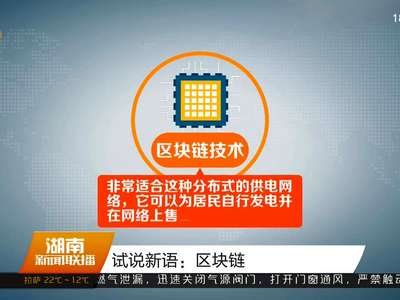 试说新语：区块链