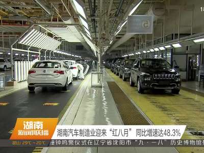 湖南汽车制造业迎来“红八月” 同比增速达48.3%