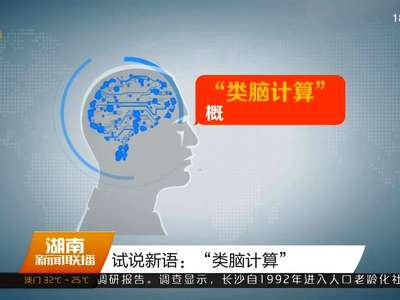 试说新语：“类脑计算”