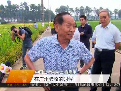 袁隆平和全国13位院士一起为超级稻再高产把脉