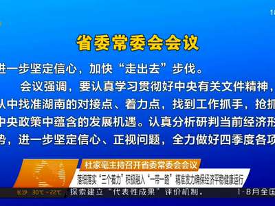 杜家毫主持召开省委常委会会议 落细落实“三个着力”积极融入“一带一路”
