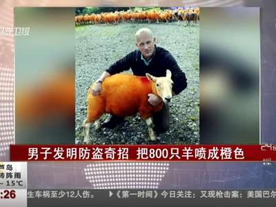 [视频]男子发明防盗奇招 把800只羊喷成橙色