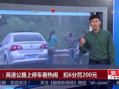 [视频]湖南：高速公路轿车自燃 看热闹群众被扣6分罚200元