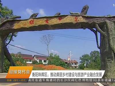 衡阳珠晖区：推动美丽乡村建设与旅游产业融合发展