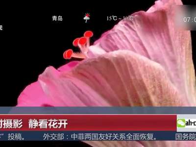 [视频]延时摄影 静看花开