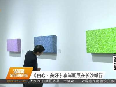 《由心·美好》李岸画展在长沙举行