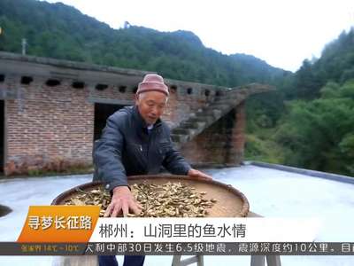 郴州：山洞里的鱼水情