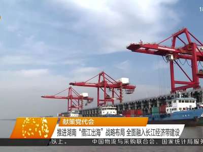 献策党代会 推进湖南“借江出海”战略布局 全面融入长江经济带建设