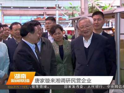 唐家璇来湘调研民营企业