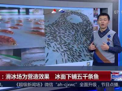 [视频]日本：滑冰场为营造效果 冰面下铺五千条鱼