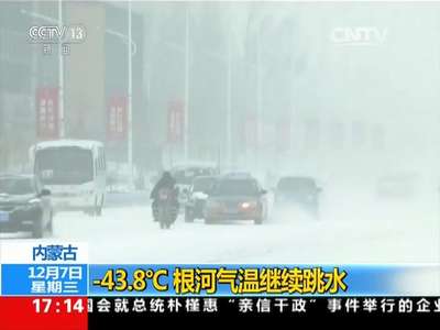 [视频]内蒙古：-43.8℃ 根河气温继续跳水