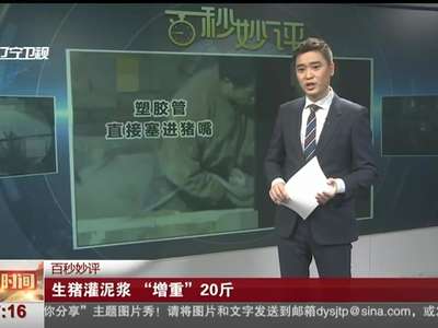 [视频]生猪灌泥浆 “增重”20斤