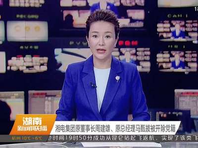 湘电集团原董事长周建雄、原总经理马甄拔被开除党籍
