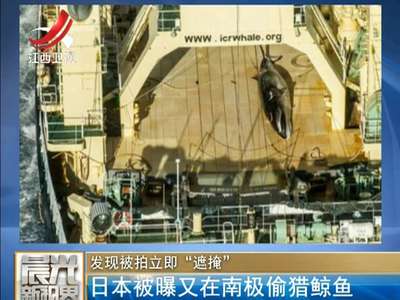 [视频]日本被曝又在南极偷猎鲸鱼 发现被拍立即“遮掩”