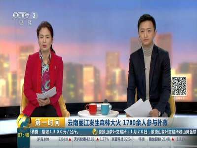 [视频]云南丽江发生森林大火 1700余人参与扑救