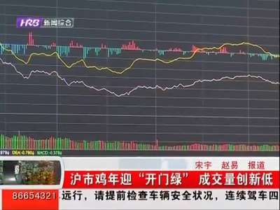 [视频]沪市鸡年迎“开门绿” 成交量创新低