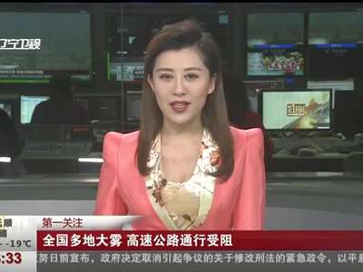 [视频]全国多地大雾 高速公路通行受阻