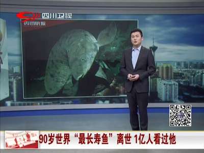 [视频]90岁世界“最长寿鱼”离世 “阅人”过亿（图）