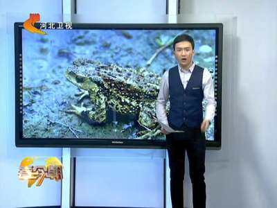 [视频]浙江一农民抓了114只癞蛤蟆被刑拘(图)