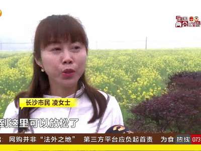 湖南小康之路·长沙茶亭镇开出百亩“幸福之花”