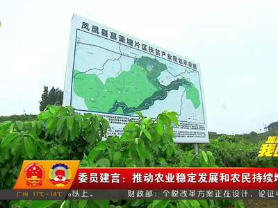 委员建言：推动农业稳定发展和农民持续增收