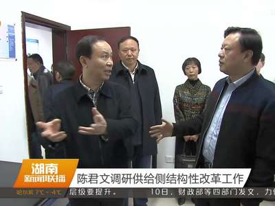 陈君文调研供给侧结构性改革工作