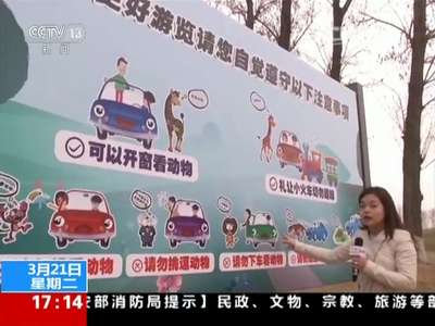[视频]北京野生动物园 不听劝阻 一家人白虎区下车游玩