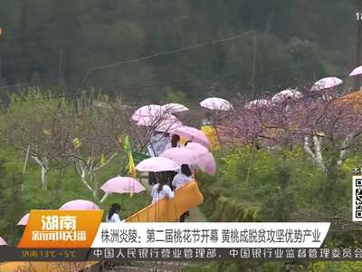 株洲炎陵：第二届桃花节开幕 黄桃成脱贫攻坚优势产业