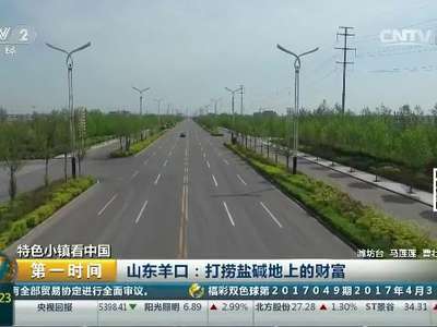 [视频]特色小镇看中国·山东羊口：打捞盐碱地上的财富