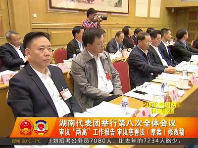 湖南代表团举行第八次全体会议 审议“两高”工作报告 审议慈善法（草案）修改稿