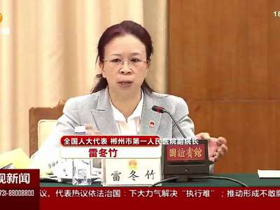 湖南代表团分组审议“两高”工作报告和慈善法草案