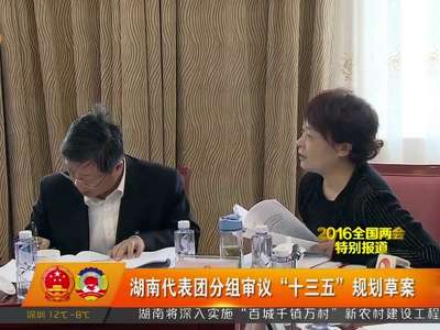 湖南代表团分组审议“十三五”规划草案