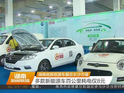 湖南省新能源车展在长沙开幕 多款新能源车百公里耗电仅8元