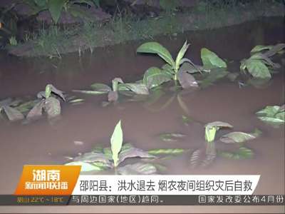 邵阳县：洪水退去 烟农夜间组织灾后自救