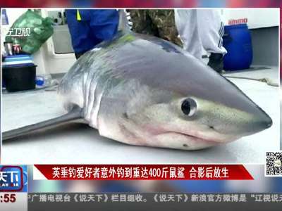 [视频]出海钓鱼竟意外收获大家伙——重达400斤鼠鲨