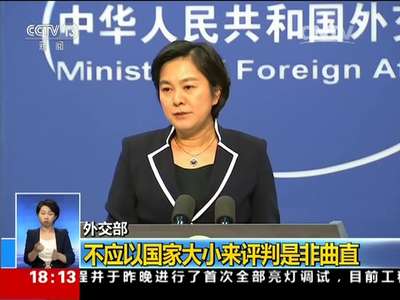 [视频]外交部回应“南海问题支持中国的都是小穷国”