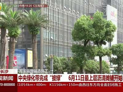 万家丽路辅道施工 中央绿化带完成“披绿”