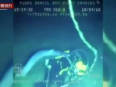 [视频]巴西箭鱼狂刺深海潜水员 惊心动魄点击破百万