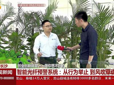 智能光纤预警系统：从行为举止 到风吹草动