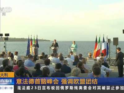 [视频]意大利：意法德首脑峰会 强调欧盟团结