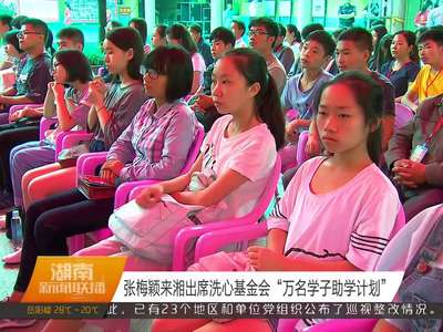 张梅颖来湘出席洗心基金会“万名学子助学计划”